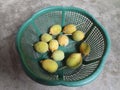 Fresh Teasel gourds.