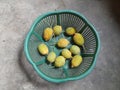 Fresh Teasel gourds.