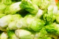 Close up of vegetable roots. A pile of vegetable roots, very fresh.