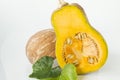 Fresh Ternnut Squash, halved with yellow-orange flesh Royalty Free Stock Photo