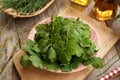 Fresh tetterwort or greater celandine leaves - ingredient for herbal tincture Royalty Free Stock Photo