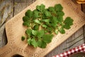 Fresh tetterwort or greater celandine leaves - ingredient for herbal tincture Royalty Free Stock Photo