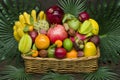 Tropical fruits basket Royalty Free Stock Photo