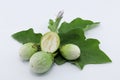 Fresh Thai round green eggplant with fresh leaves and eggplant flower