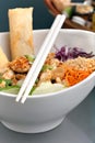 Fresh Thai Salad with Spring Rolls Royalty Free Stock Photo