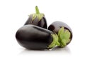 Fresh Three Eggplant on white Royalty Free Stock Photo