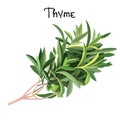 Fresh Thyme