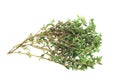 Fresh thyme herb Royalty Free Stock Photo