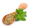Fresh thyme herbs . Royalty Free Stock Photo