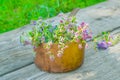 Fresh thyme in a old copper pot Royalty Free Stock Photo