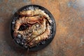 Fresh tiger prawns in a black plate with crushed ice on rough metal background Royalty Free Stock Photo