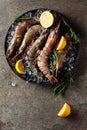 Fresh tiger prawns in a black plate with lemon, rosemary and crushed ice Royalty Free Stock Photo