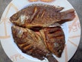 Fresh tilapia fish that have been fried and placed in a colander. Indonesian food. Top view. Royalty Free Stock Photo