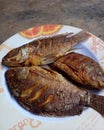 Fresh tilapia fish that have been fried and placed in a colander. Indonesian food. Closeup photo. Royalty Free Stock Photo