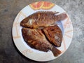 Fresh tilapia fish that have been fried and placed in a colander. Indonesian food. Top view. Royalty Free Stock Photo