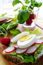 Fresh toast sandwiches with egg and radish