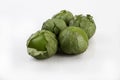 Fresh Tomatillo`s in husks