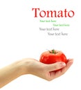 Fresh tomato Royalty Free Stock Photo