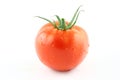 fresh tomato