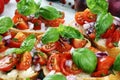 Fresh tomato bruschetta. italian food appetizer with basil on table