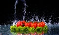 Fresh tomato cherry and green fresh salad with water drop splash on dark background Macro drops of water Royalty Free Stock Photo