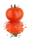 Fresh tomato with drops and refletion Royalty Free Stock Photo