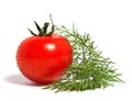 Fresh tomato and fennel