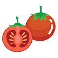Fresh Tomato Fruit Royalty Free Stock Photo