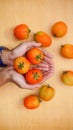 Fresh tomato fruit in hand Royalty Free Stock Photo