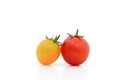 Fresh Tomato isolate on white background