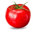 fresh tomato isolated on white background. close up Royalty Free Stock Photo