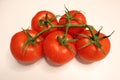 Tomato branch with water droplets on white background Royalty Free Stock Photo