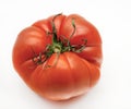 Fresh Tomato raf Royalty Free Stock Photo