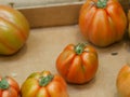 Fresh tomato ready for sale in market Royalty Free Stock Photo