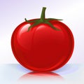 Fresh tomato on reflecting sur Royalty Free Stock Photo