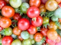 Fresh tomatos in row food concept Royalty Free Stock Photo