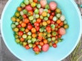 Fresh tomatos in row food concept Royalty Free Stock Photo