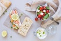 Fresh tomato salad and ciabatta bread with cream cheese and salmon on the gray background Royalty Free Stock Photo