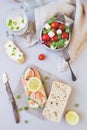 Fresh tomato salad and ciabatta bread with cream cheese and salmon on the gray background Royalty Free Stock Photo