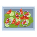Fresh tomato salad food airline icon, cartoon style