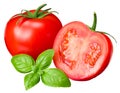 fresh tomato with slice and basil leaf isolated on white background Royalty Free Stock Photo