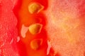 Fresh tomato slice macro Royalty Free Stock Photo