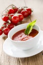 Fresh tomato soup Royalty Free Stock Photo