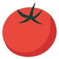 Fresh tomato vector design Royalty Free Stock Photo