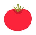 Fresh tomato.Vegetable red. Vector flat agriculture illustration.