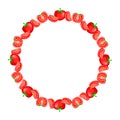 fresh tomato vegetable round art frame