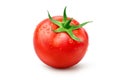 Fresh tomato with water droplets Royalty Free Stock Photo