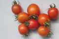 Fresh tomato on a white background Royalty Free Stock Photo