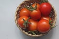 Fresh tomato on a white background Royalty Free Stock Photo