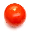 Fresh Tomatoe